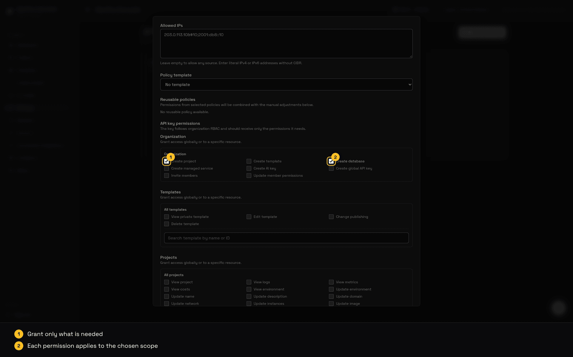 API key creation dialog with organization permissions highlighted