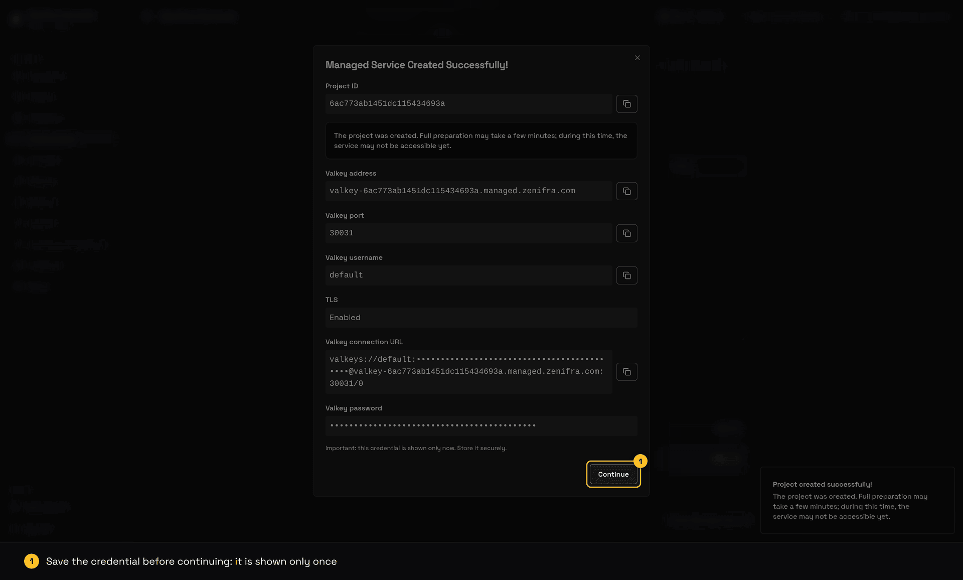Managed service confirmation with address, port and masked credential
